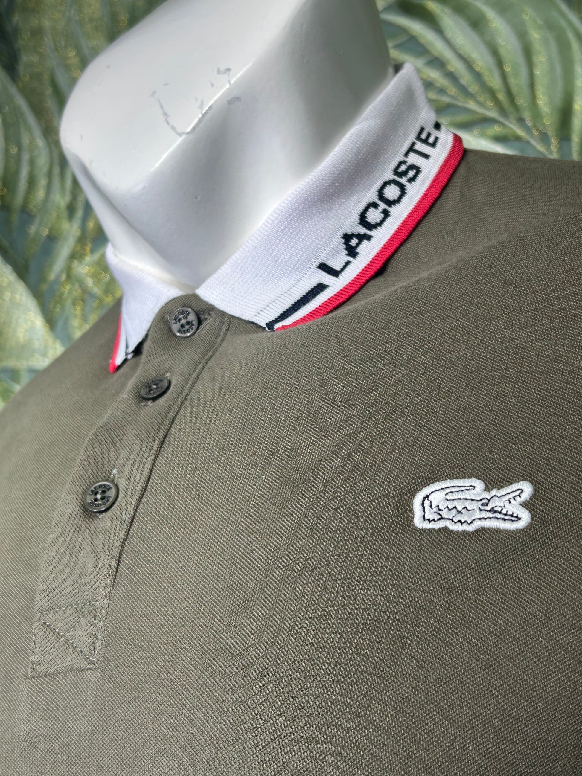 POLO LACOSTE