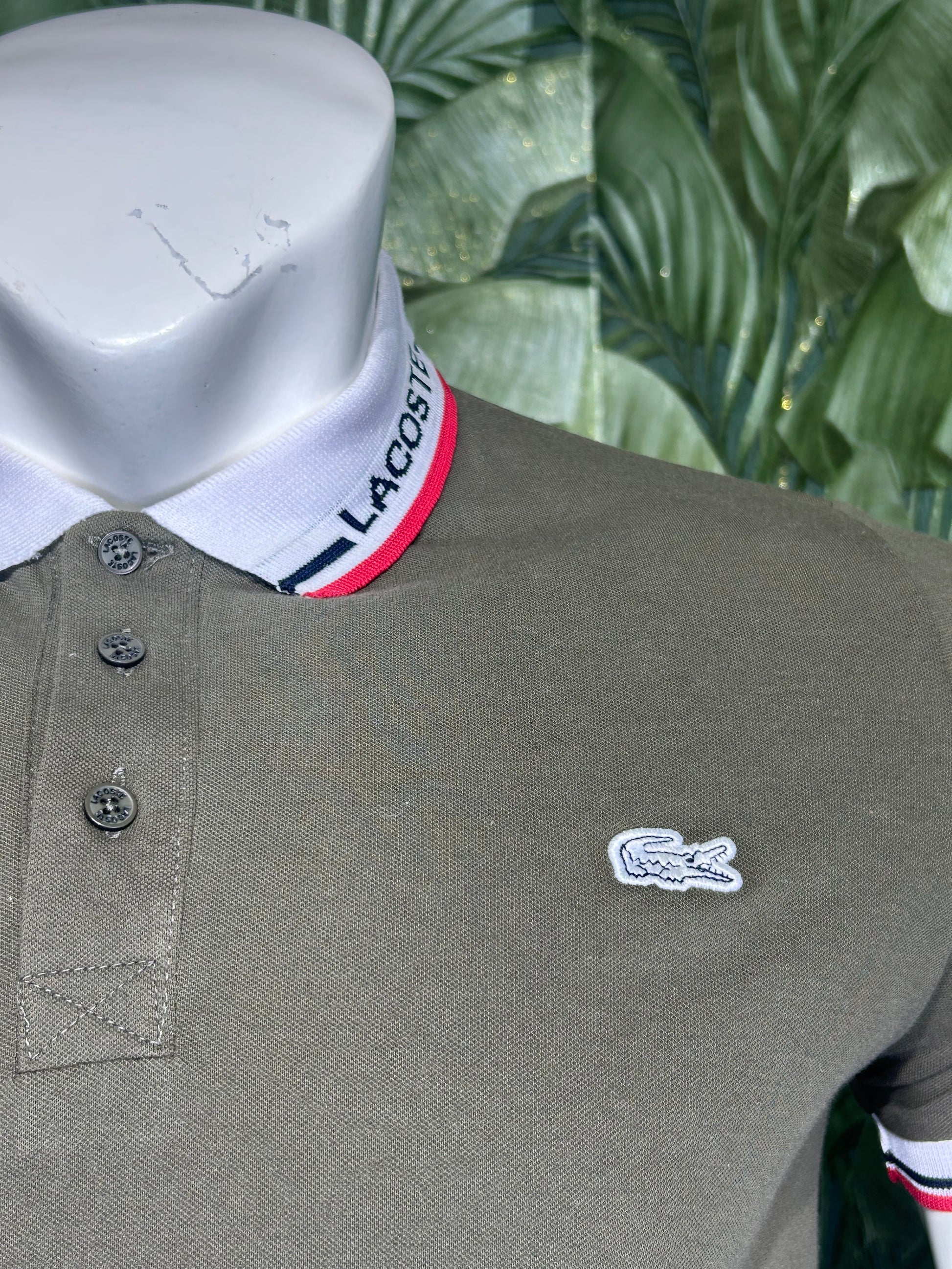 POLO LACOSTE